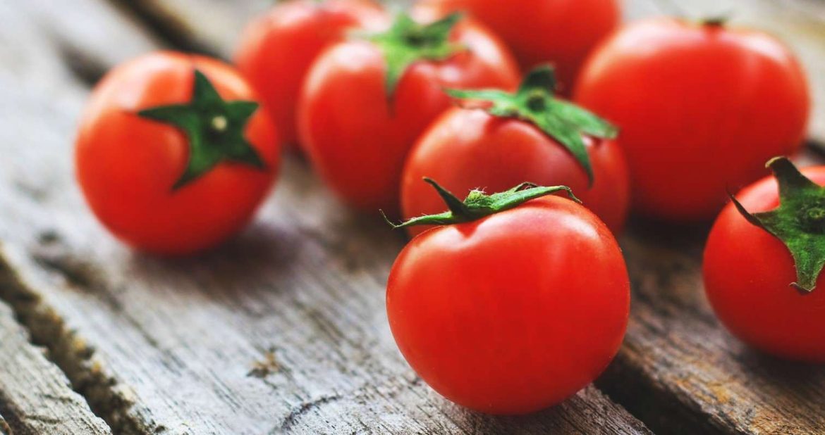 Specifications of Italian tomato paste + purchase price