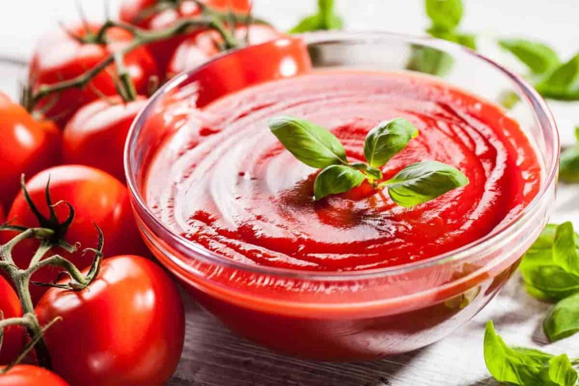 manufacturing tomato paste at wholesale price