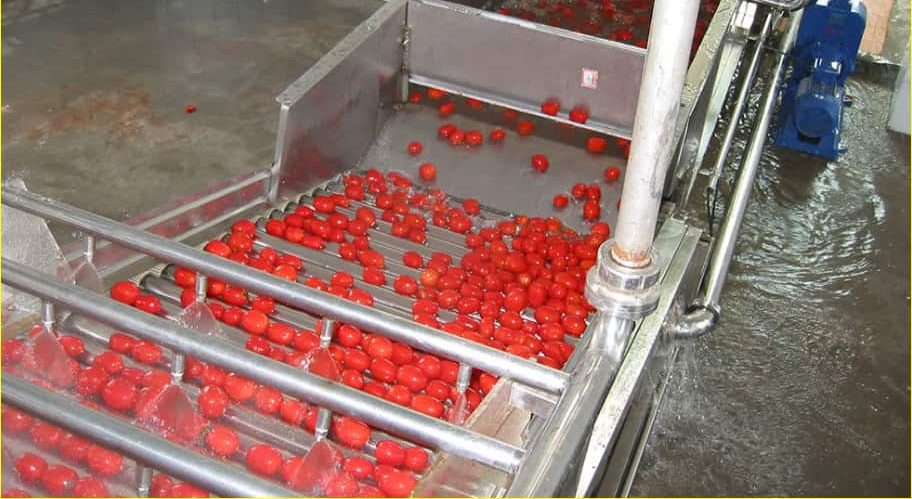 Tomato paste processing machine | Buy at a cheap price