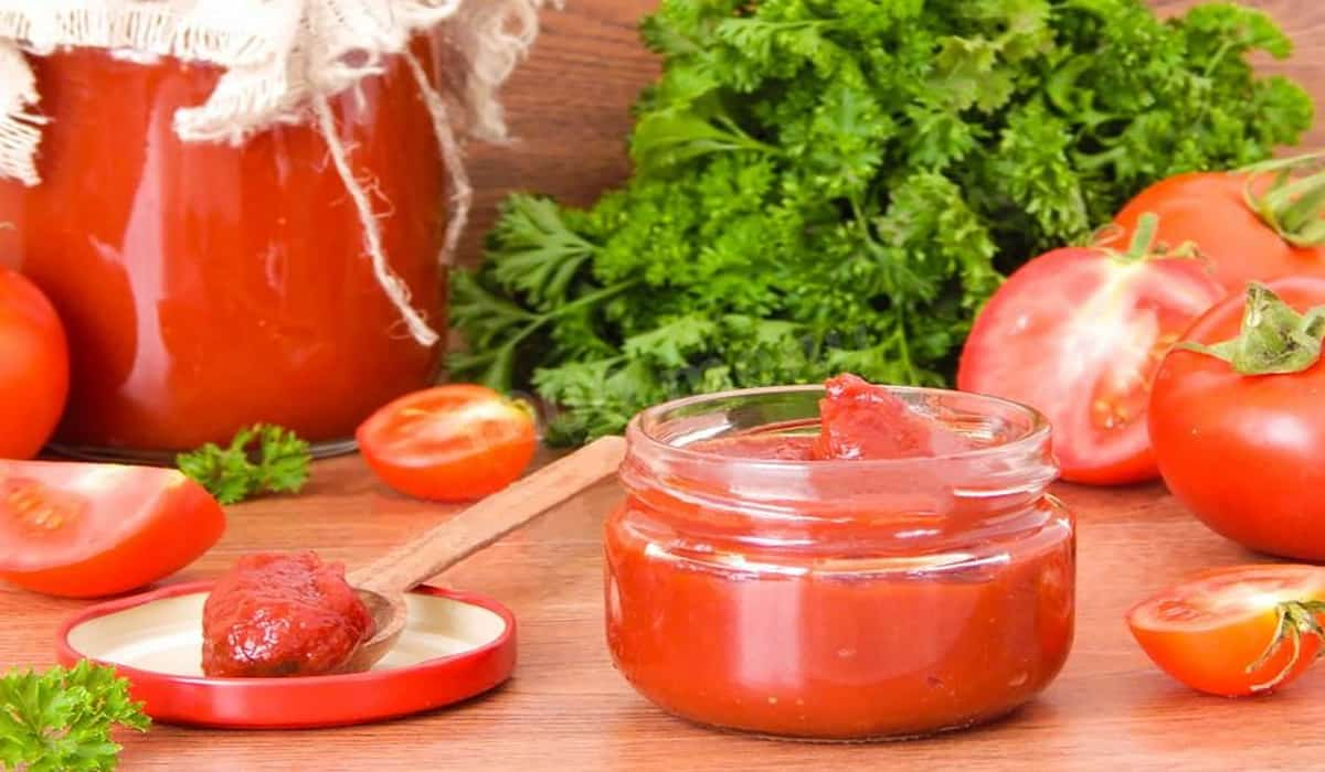  Best Tomato Paste For Pizza + Great Purchase Price 