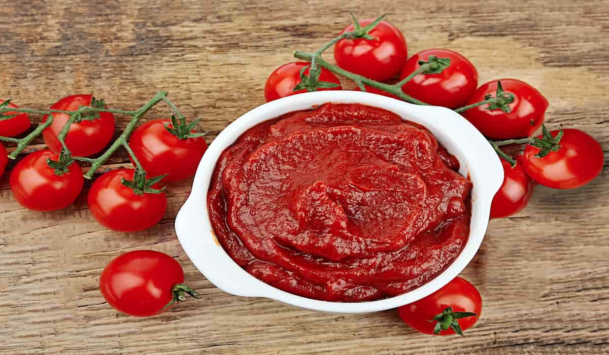  Best Tomato Paste For Pizza + Great Purchase Price 