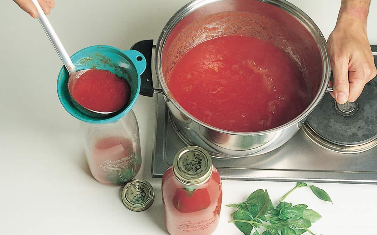  tomato paste sour cream sauce 