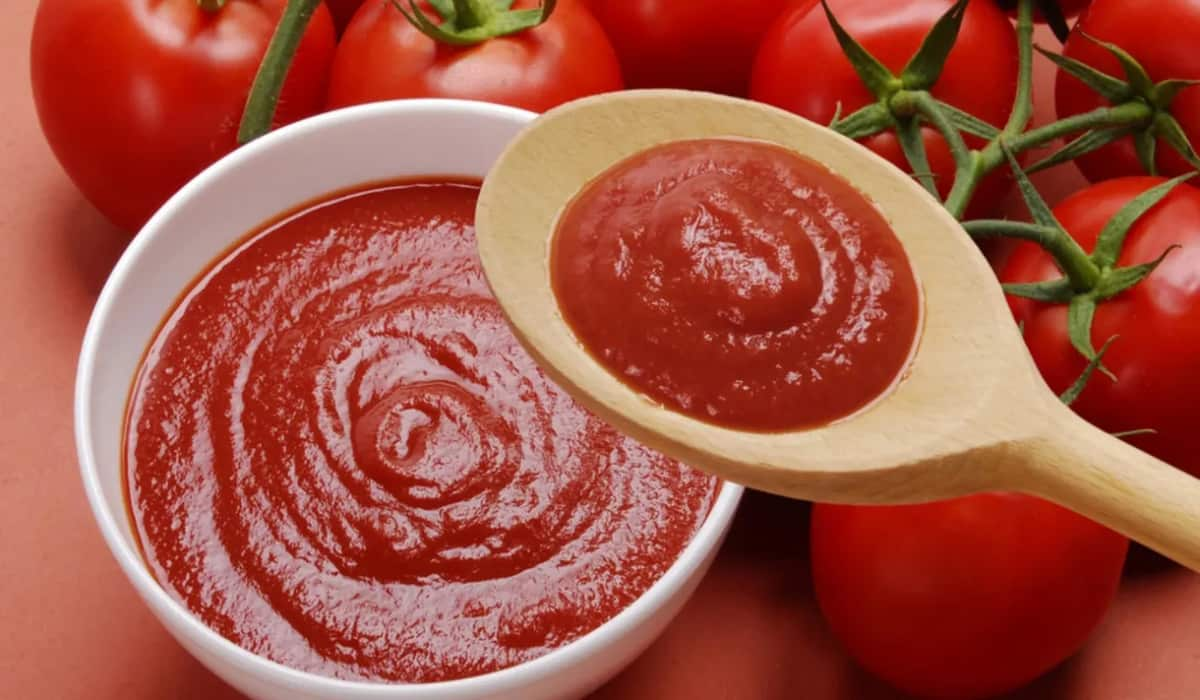  tomato paste and spinach purchase price + photo 