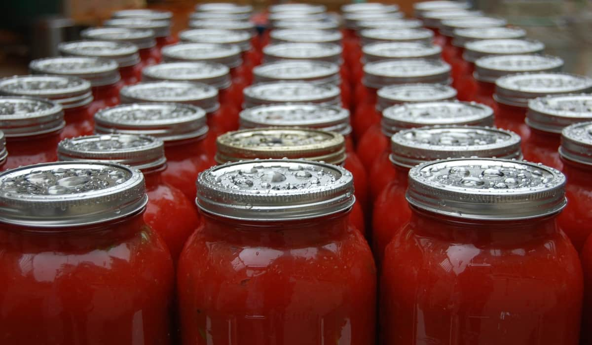  Purchase And Day Price of Have Tomato Paste 