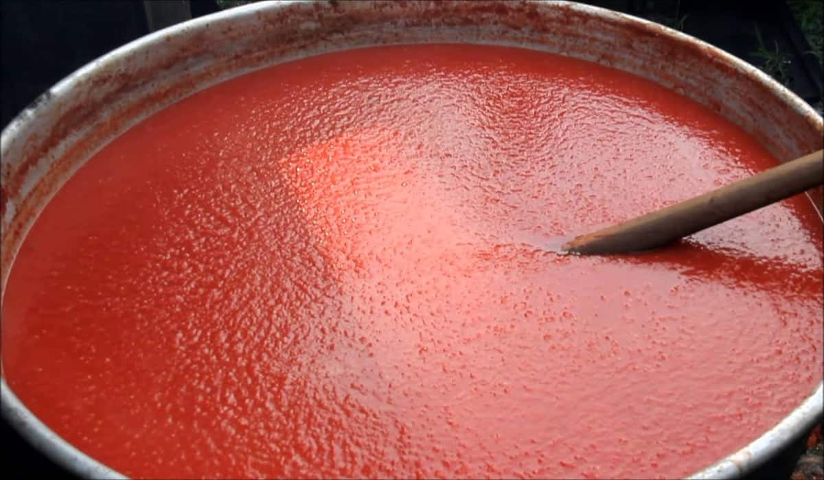  Purchase And Day Price of Have Tomato Paste 