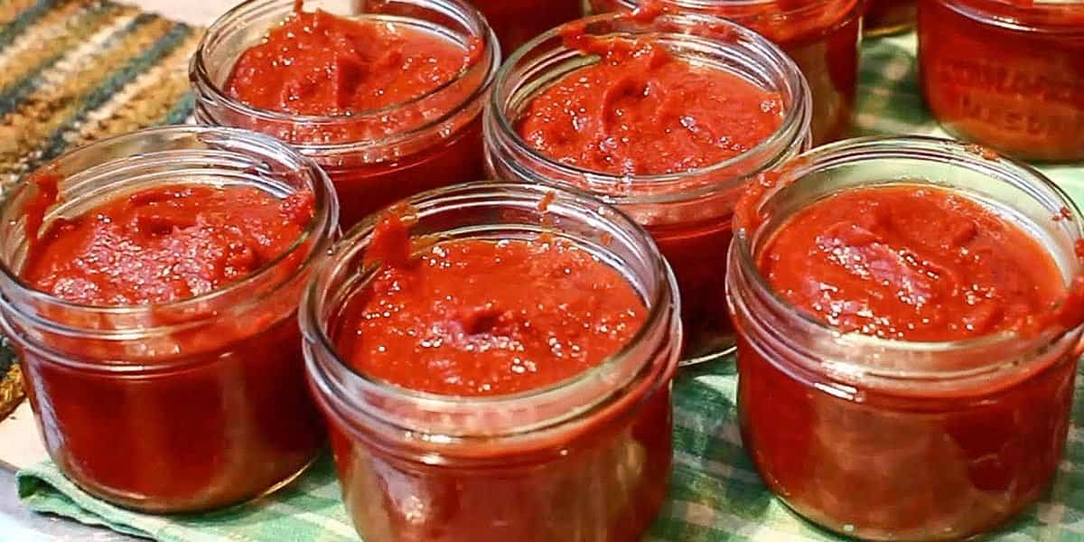  How to make tomato paste commercially for better results 