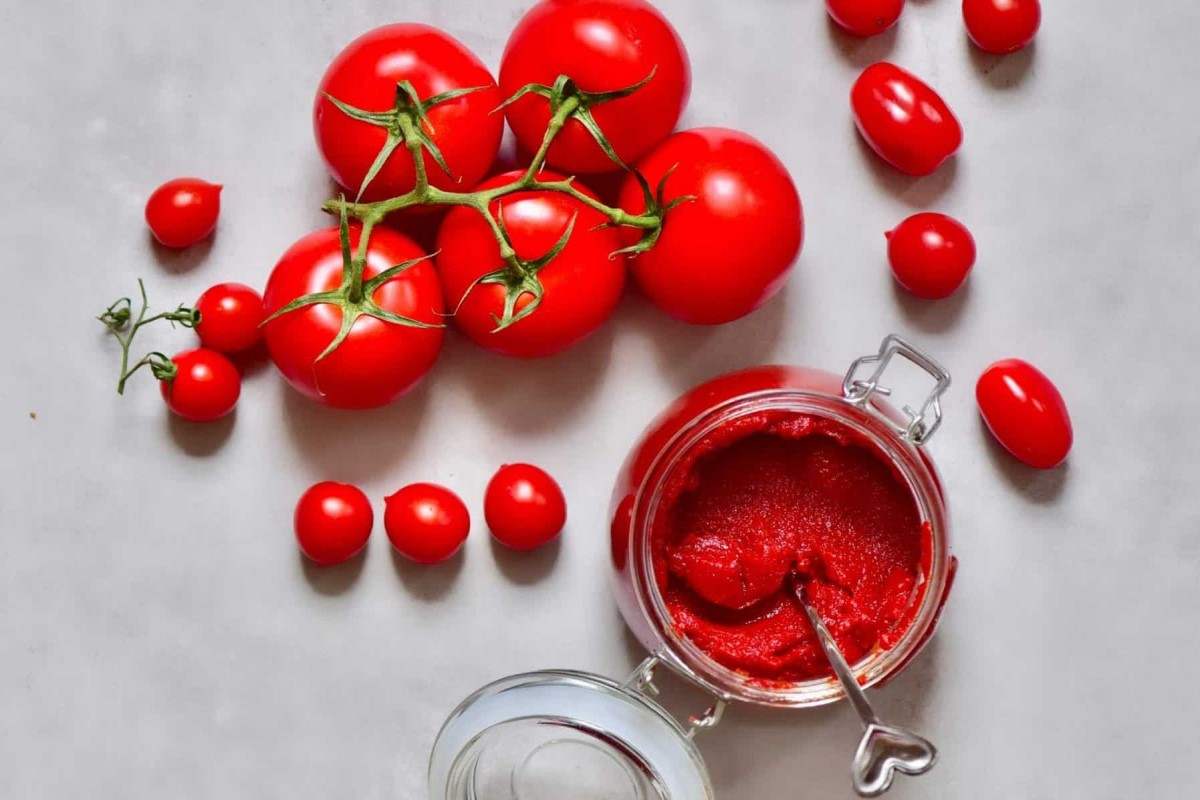  Tomato paste sauce wholesaler manufacturers uk 