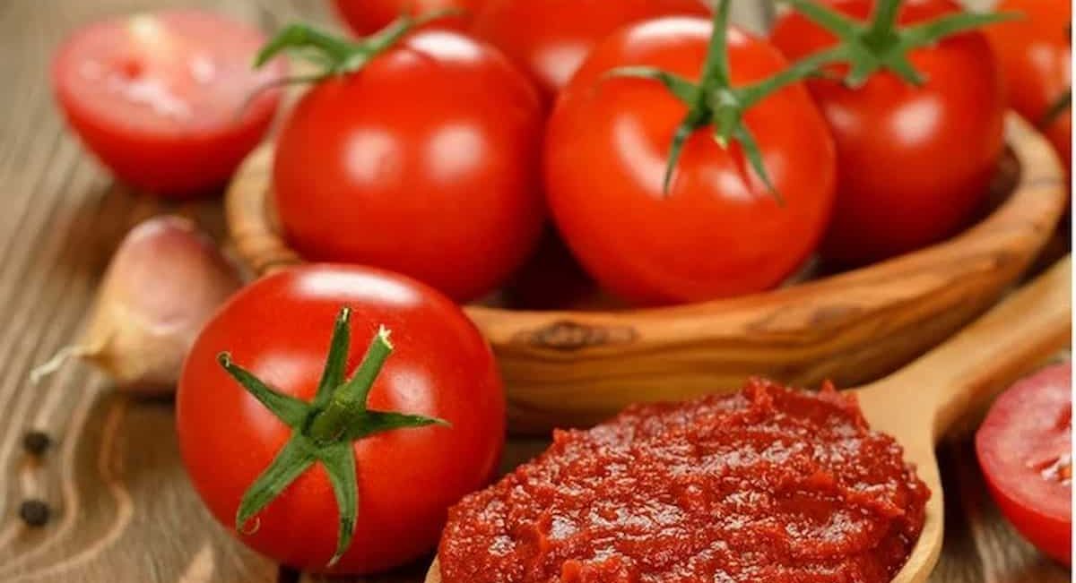  Tomato paste nutrition facts 