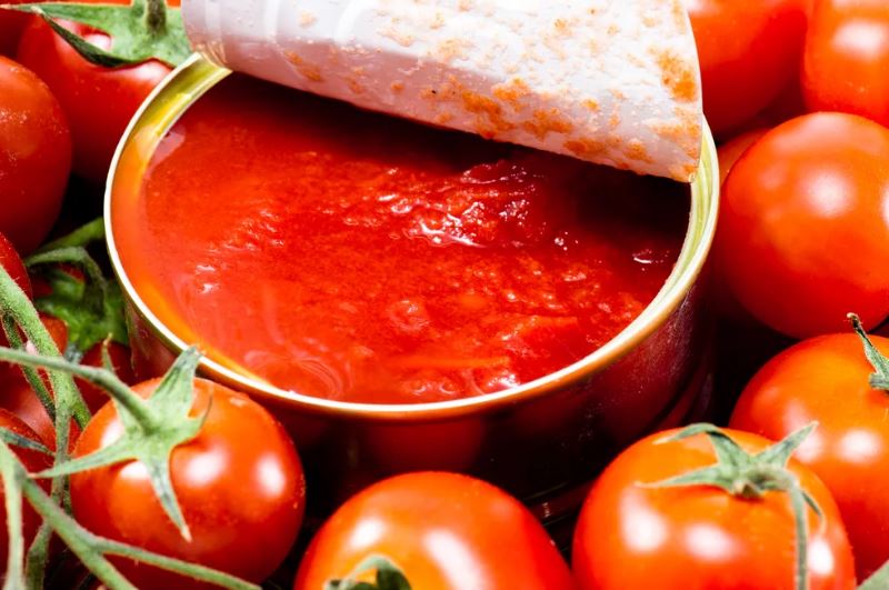  Tomato paste creators puree sauce definition 