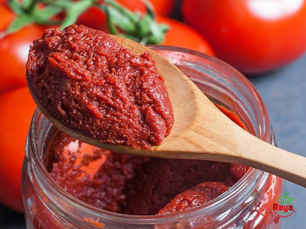 Specifications of tomato paste