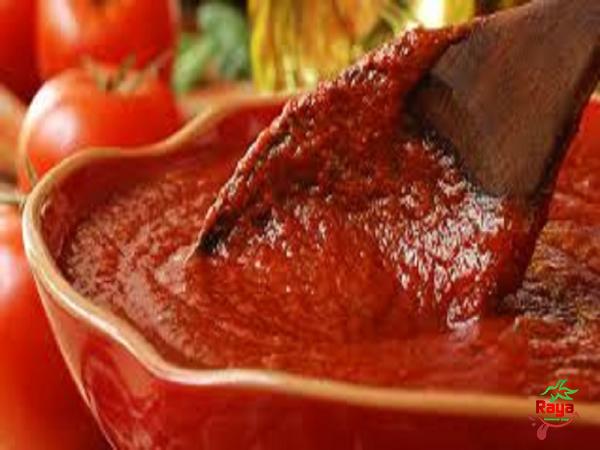 Specifications of tomato paste