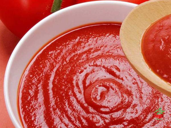 tomato paste