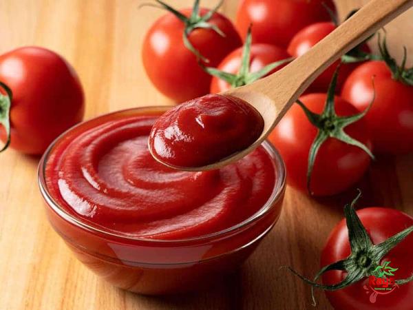 Tomato paste or sauce | Buy at a cheap price