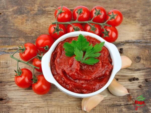 Organic tomato sauce purchase price + user guide